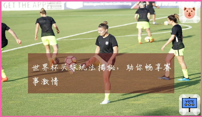世界杯买球玩法揭秘，助你畅享赛事激情