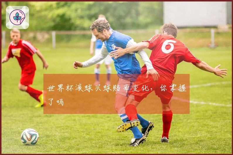 世界杯滚球买球赔率变化，你掌握了吗