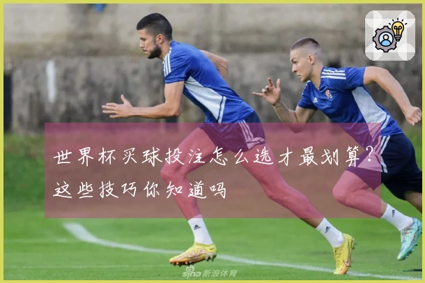 世界杯买球投注怎么选才最划算？这些技巧你知道吗