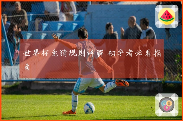 世界杯竞猜规则详解 初学者必看指南