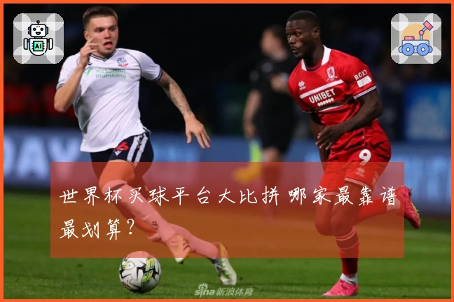 世界杯买球平台大比拼 哪家最靠谱最划算？