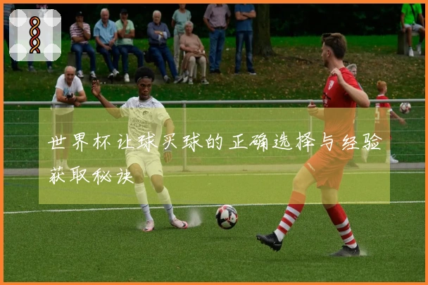 世界杯让球买球的正确选择与经验获取秘诀