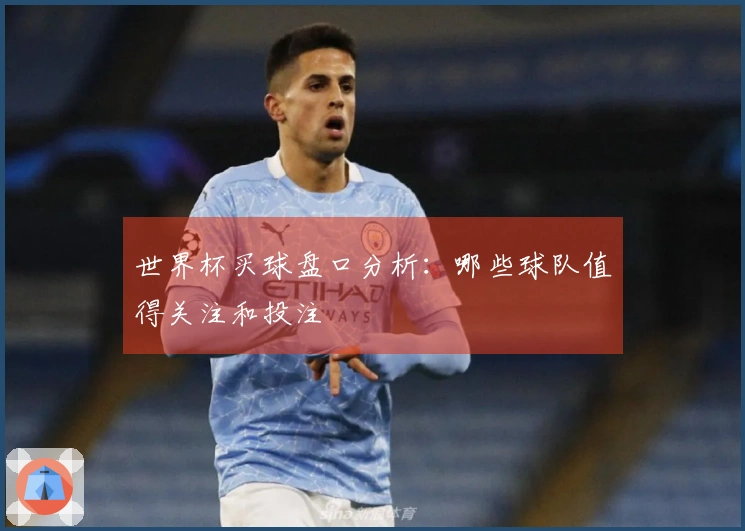 世界杯买球盘口分析：哪些球队值得关注和投注