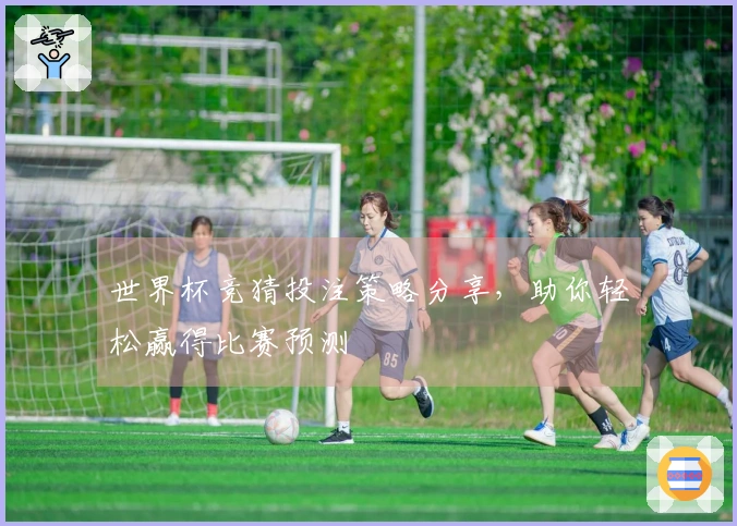 世界杯竞猜投注策略分享，助你轻松赢得比赛预测