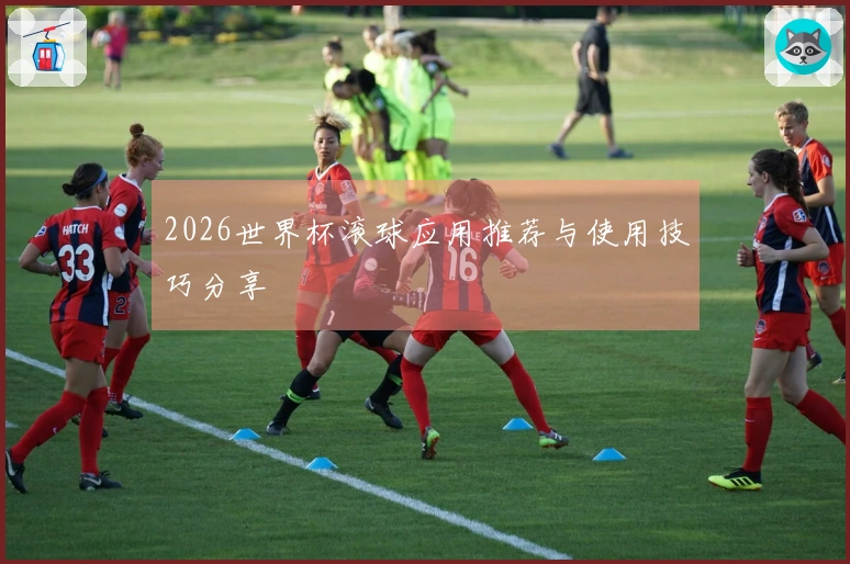 2026世界杯滚球应用推荐与使用技巧分享