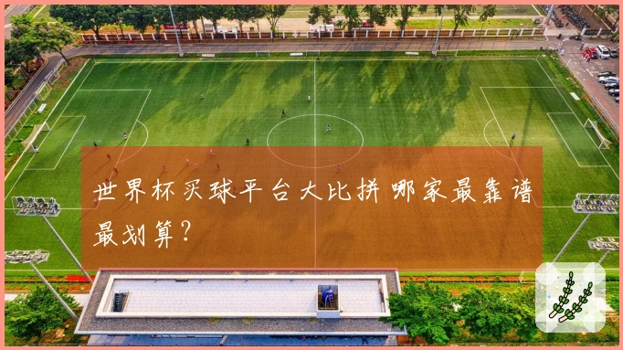 世界杯买球平台大比拼 哪家最靠谱最划算？