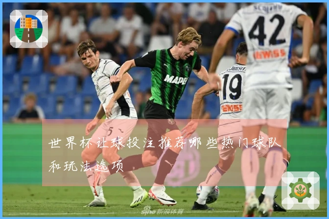 世界杯让球投注推荐哪些热门球队和玩法选项