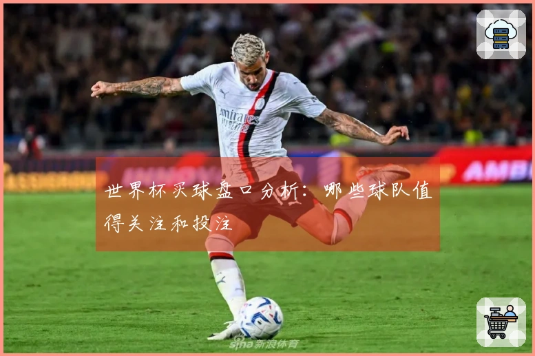 世界杯买球盘口分析：哪些球队值得关注和投注