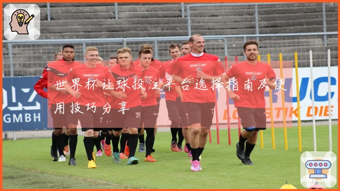 世界杯让球投注平台选择指南及使用技巧分享